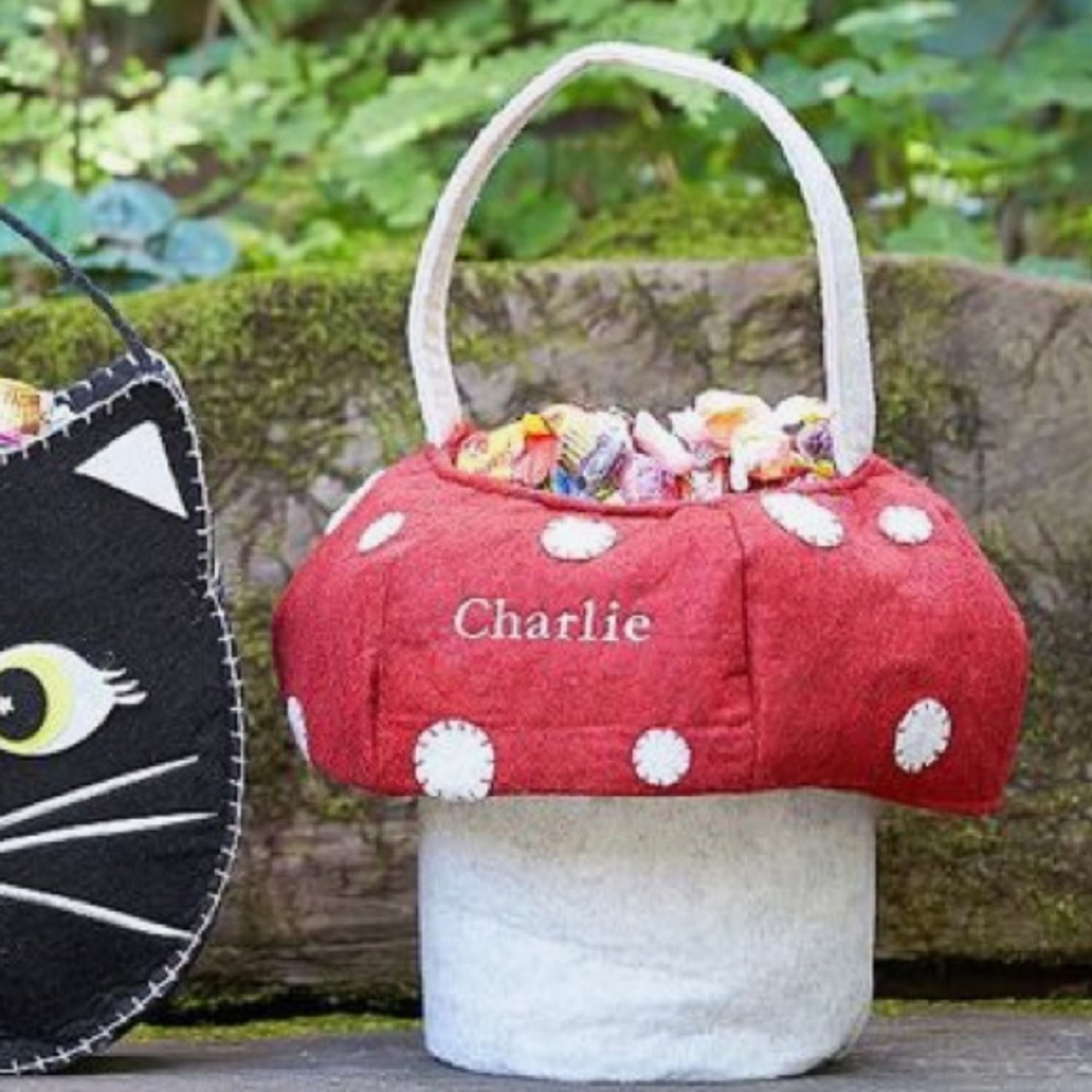 Pottery Barn Kids Halloween Mushroom Felt Basket costume accessory